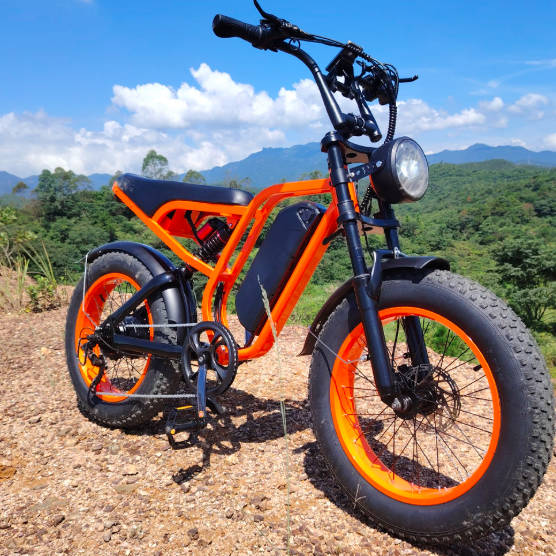 Wholesale Fat Tire Electric Bikes Electric Mountain Bike 1000w Fat Tire Electric Bicycle