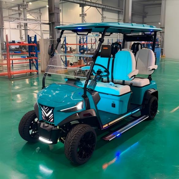 High Efficient Attractive Low Noise 48V Rigid Golf Cart Golf Buddy