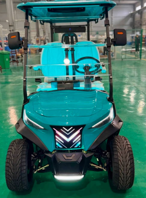 High Efficient Attractive Low Noise 48V Rigid Golf Cart Golf Buddy 2