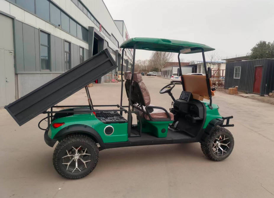 Off Road Golf Cart 2 Seat Electric Golf Utility Cart Buggy with Cargo Bed (1)